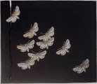 \'Mothlight\', Sue McLennan, Christchurch