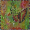 <h5>Flight Behaviour by Maureen van Dam</h5><p>Monarchs, truly 'King of Butterflies'. I used to kill the banded caterpillars in my garden - but no more, they are future Monarchs. My quilt portrays their miraculous life-cycle and honours Barbara Kingsolver's novel 'Flight Behaviour'.                                                   </p>