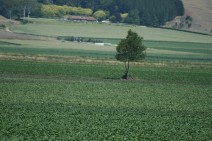 IMG_7465