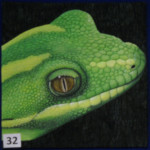 Green Gecko by Sonya Prchal