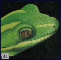 Green Gecko by Sonya Prchal